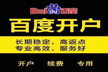 案例分析：SEM托管服务助力电商销量倍增